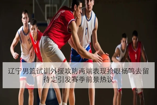辽宁男篮试训外援攻防两端表现抢眼杨鸣去留待定引发赛季前景热议