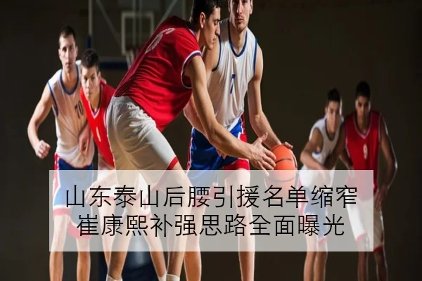 山东泰山后腰引援名单缩窄 崔康熙补强思路全面曝光
